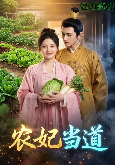 农妃当道